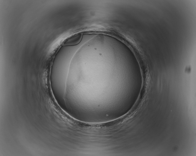X0000115761455200911271105