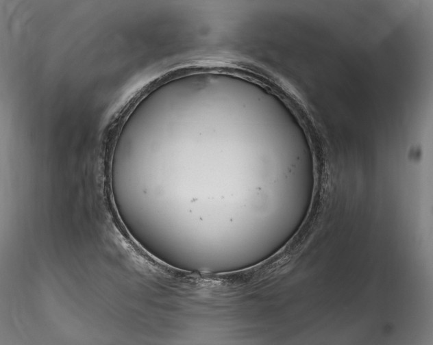 X0000115761456200911271105