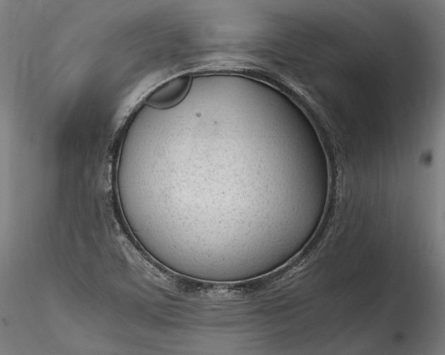 X0000115761459200911271105