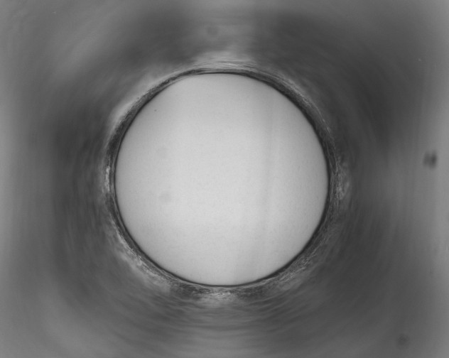 X0000115761462200911271105