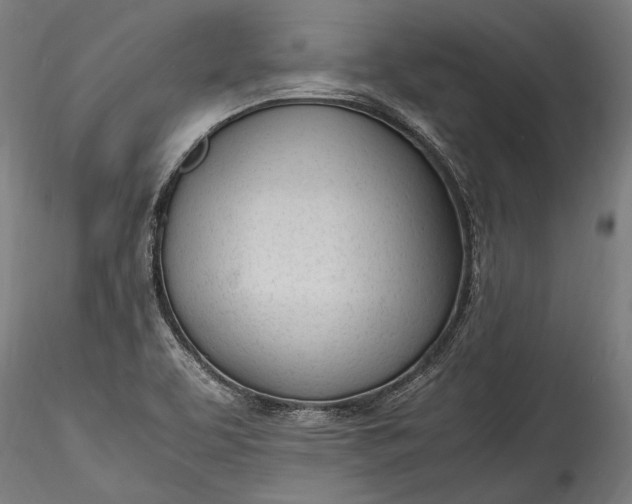 X0000115761463200911271105
