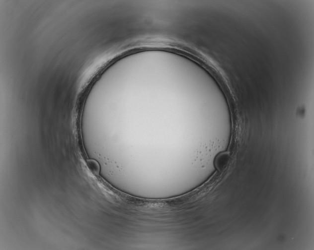 X0000115761464200911271105