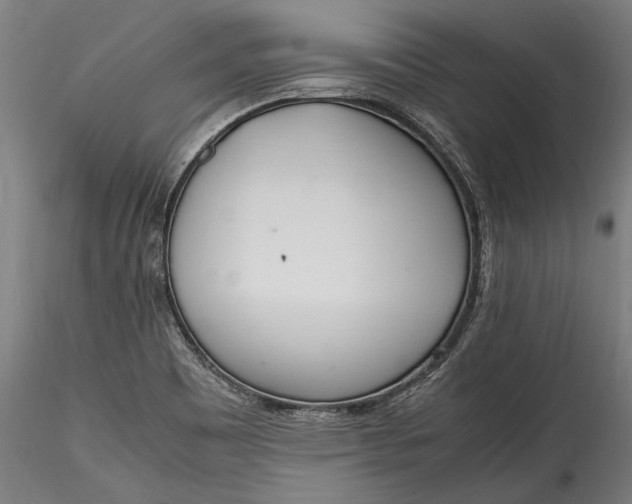 X0000115761465200911271105