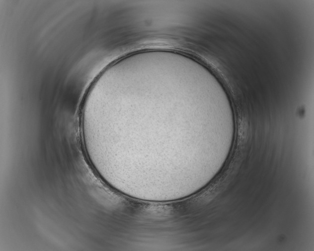 X0000115761466200911271105
