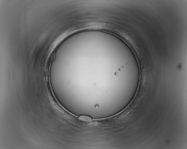 X0000115761467200911271105