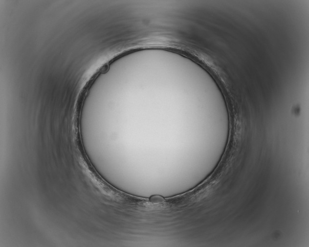 X0000115761469200911271105