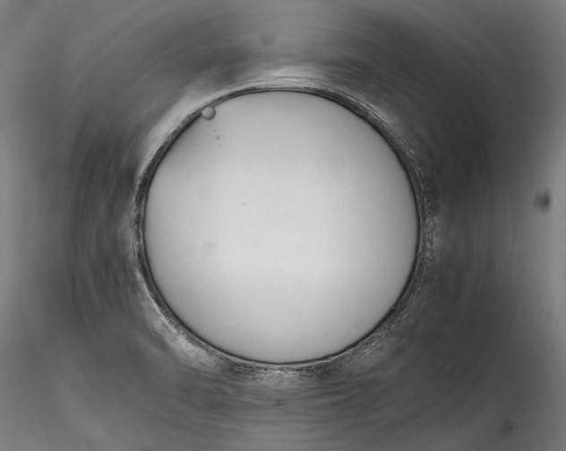 X0000115761470200911271105