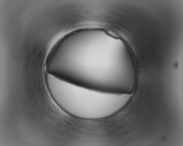 X0000115761472200911271105