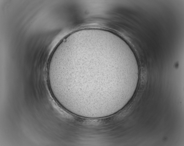 X0000115761474200911271105