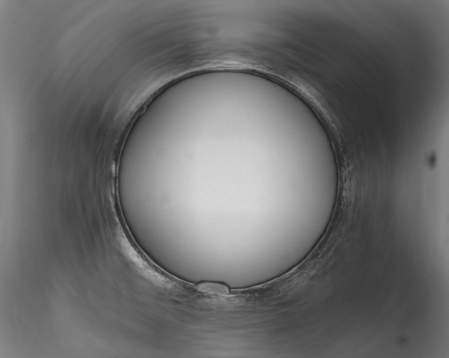 X0000115761476200911271105