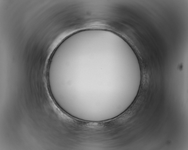 X0000115761478200911271105