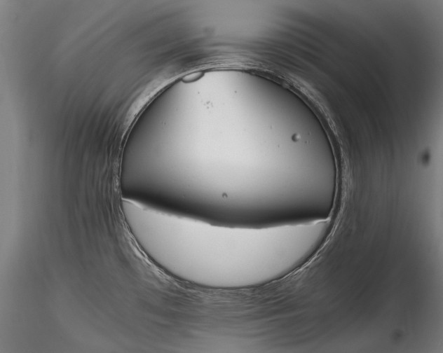 X0000115761481200911271105