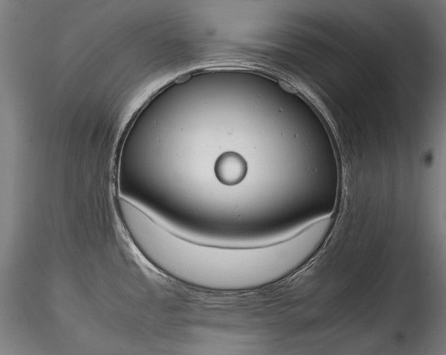 X0000115761485200911271105