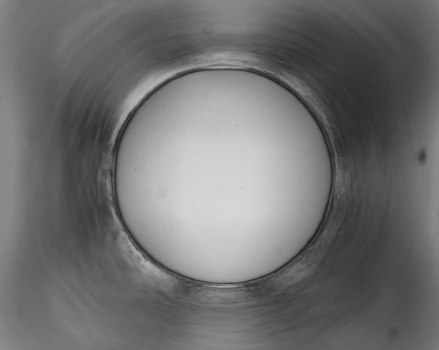 X0000115761486200911271105