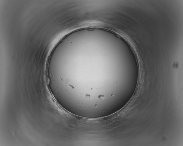 X0000115761488200911271105