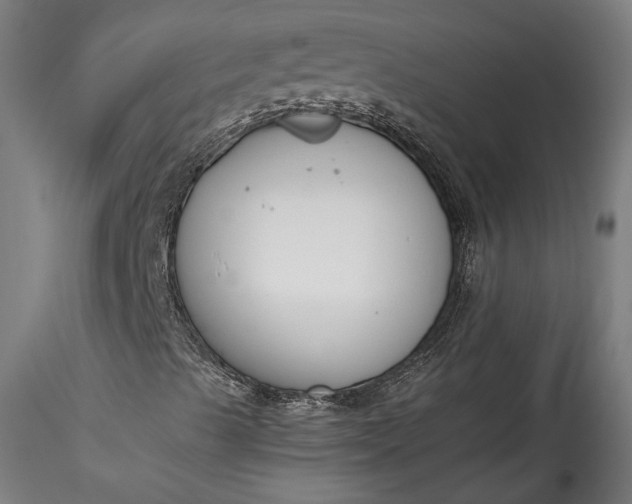 X0000115761489200911271104