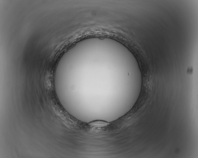 X0000115761490200911271104