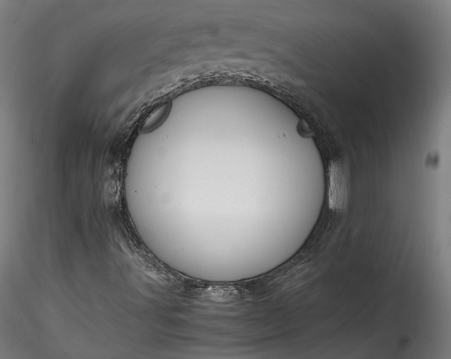 X0000115761491200911271104