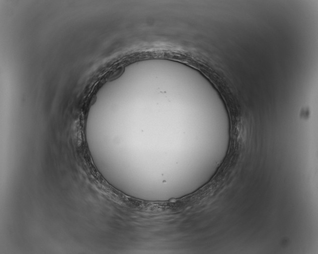 X0000115761493200911271104