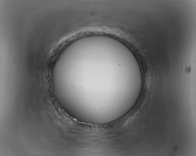 X0000115761494200911271104