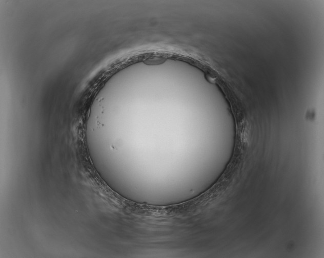 X0000115761495200911271104