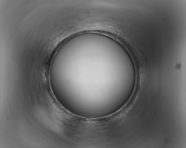 X0000115761497200911271104