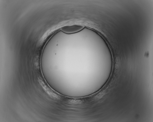 X0000115761499200911271104