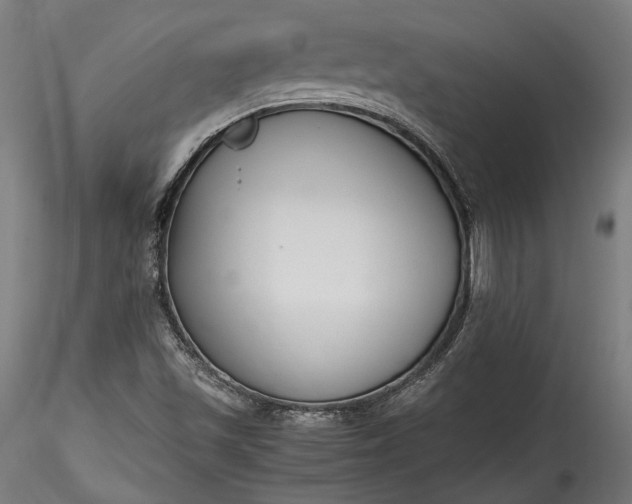 X0000115761501200911271104