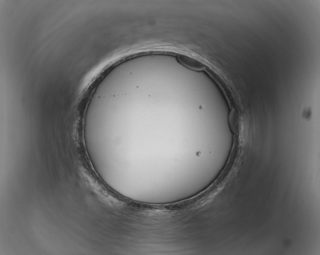 X0000115761502200911271104