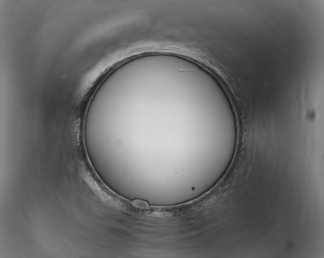 X0000115761503200911271104