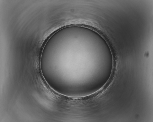 X0000115761505200911271104