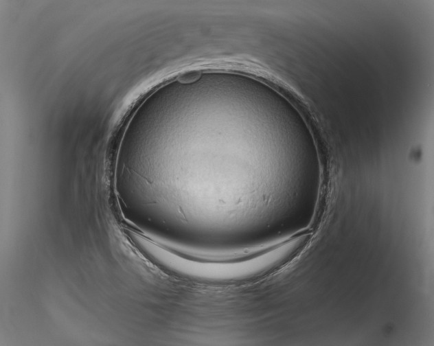 X0000115761506200911271104