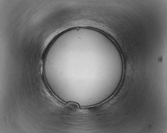 X0000115761509200911271104