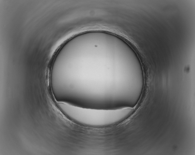 X0000115761510200911271104