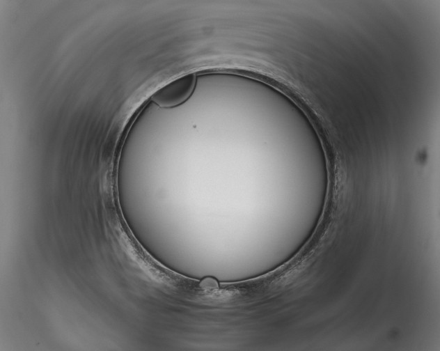 X0000115761513200911271104