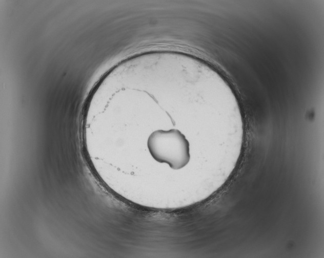 X0000115761514200911271104