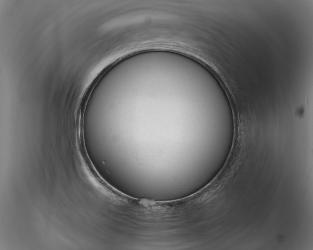 X0000115761515200911271104