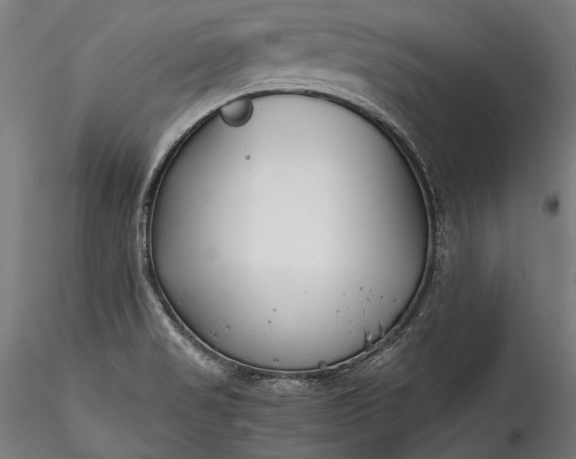 X0000115761517200911271104