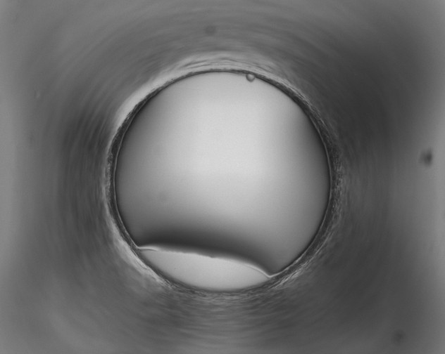 X0000115761518200911271104