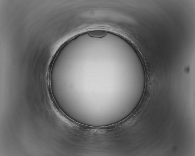X0000115761519200911271104