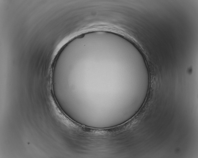 X0000115761522200911271105