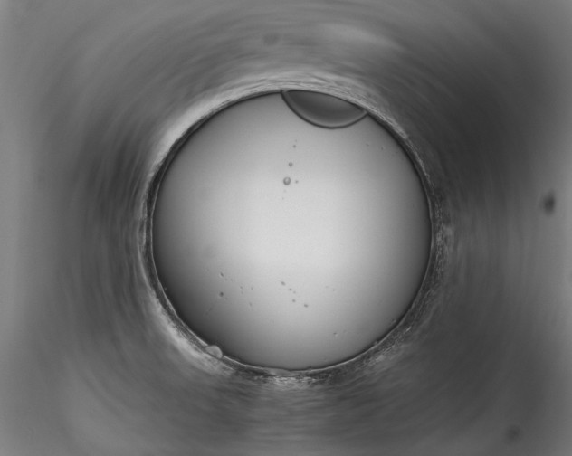 X0000115761523200911271105