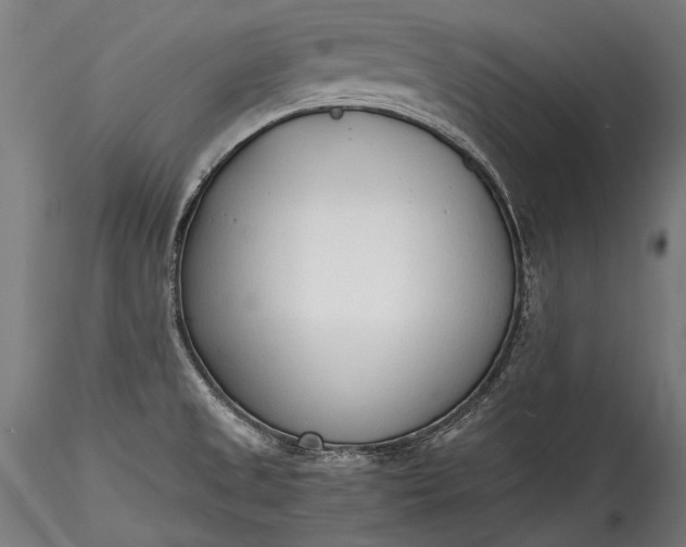 X0000115761525200911271105