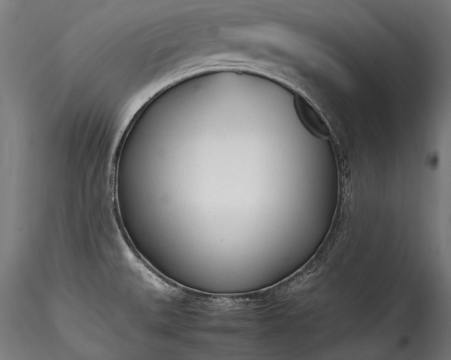 X0000115761527200911271105