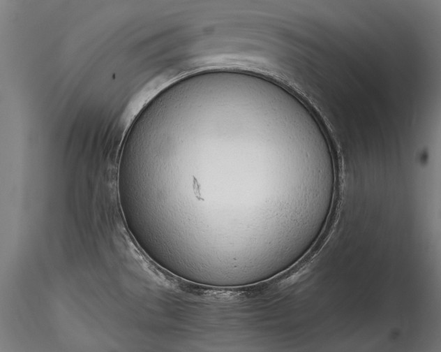 X0000115761529200911271105