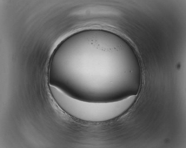 X0000115761530200911271105