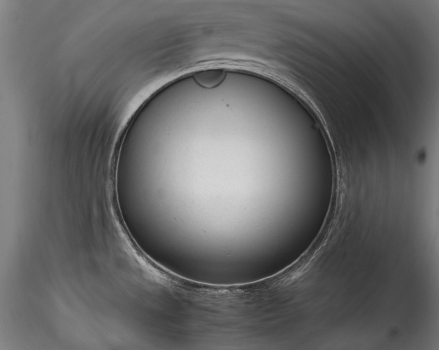 X0000115761533200911271105