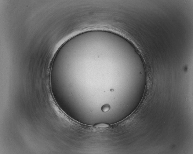 X0000115761534200911271105