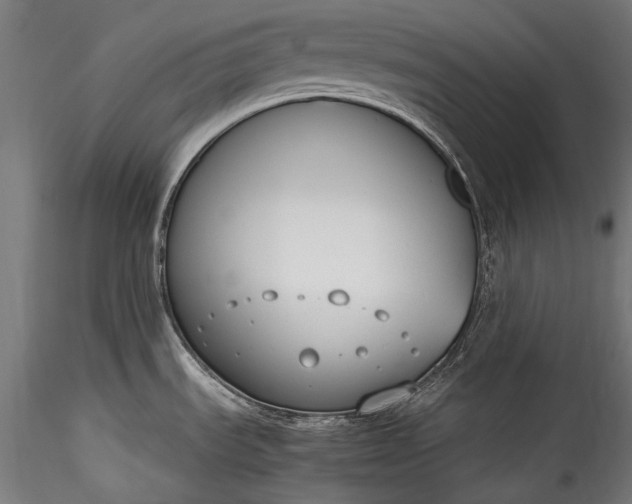 X0000115761535200911271105