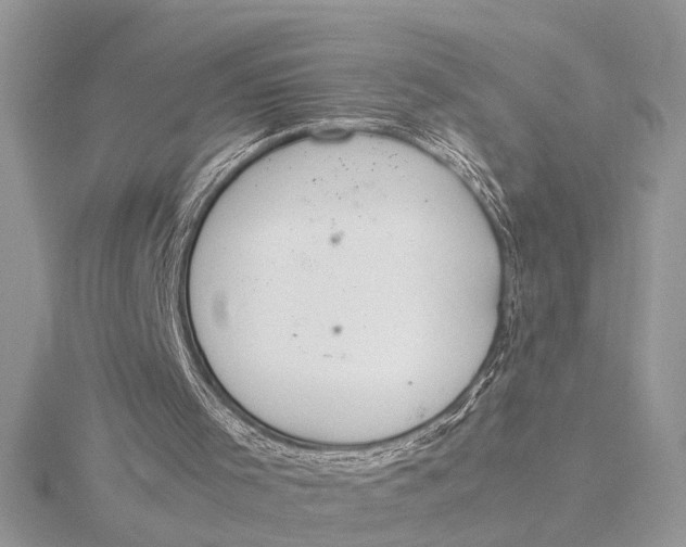 X0000115760001200912041420